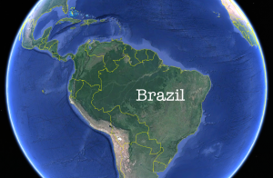 zika virus brazil