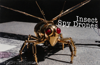 Is This a Top Secret NSA Insect Spy Drone?