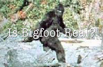 The great debate of the authenticity of Bigfoot- real or hoax