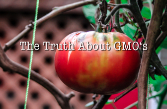 What They are Not Telling You about GMO’s